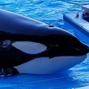 Meet your Posher, Deb